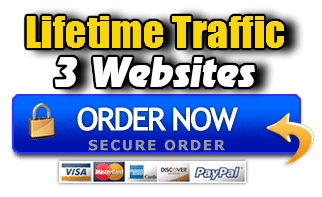 Lifetime Traffic 3 Websites